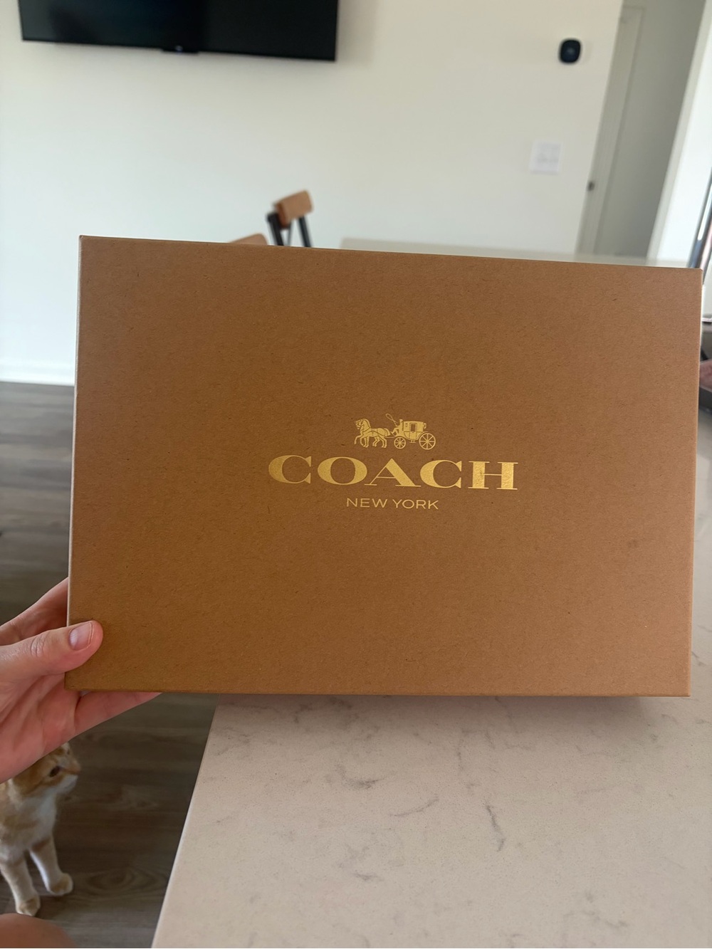 Coach leather handbag